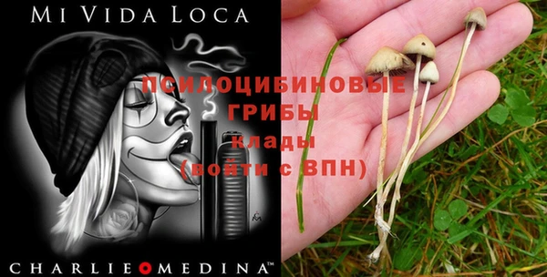 стафф Сатка