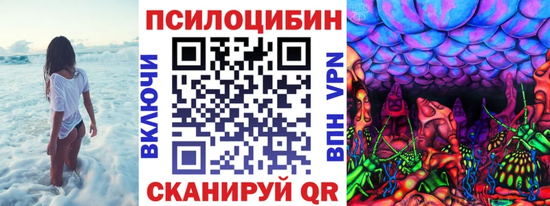 Галлюциногенные грибы Psilocybe Юхнов